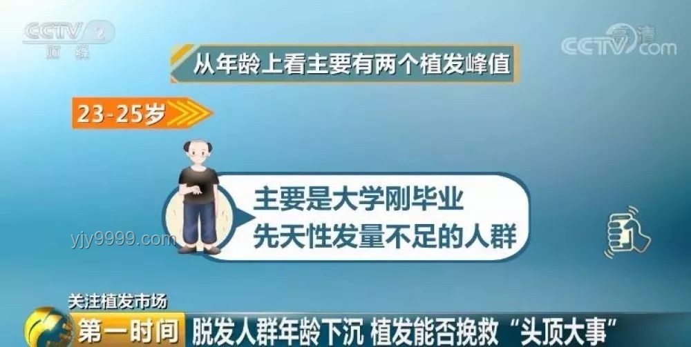 广东人为何较少呈现“霸总”形象探析